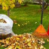 Kako napraviti kompost od lišća drveća u vrećama